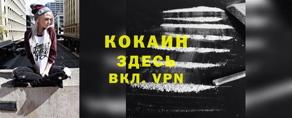 дживик Осинники