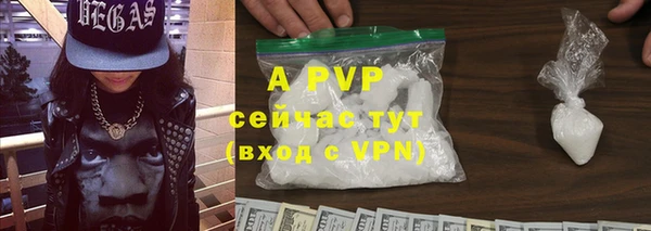дживик Осинники