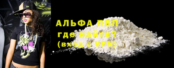 дживик Осинники