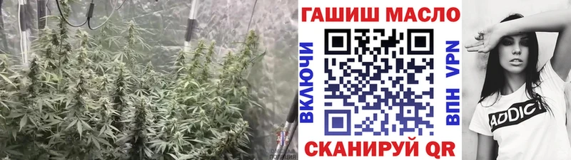 мориарти наркотические препараты  Богородицк  ТГК вейп с тгк 