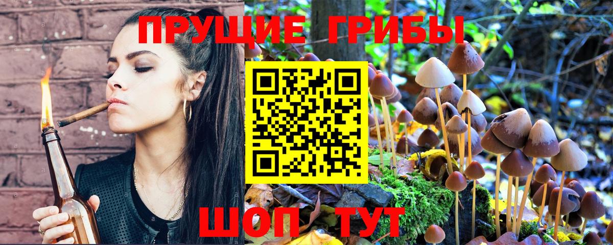 Галлюциногенные грибы MAGIC MUSHROOMS  Вход с VPN  закладка  Богородицк 