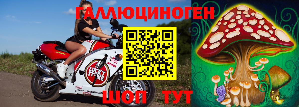 Галлюциногенные грибы Psilocybe  купить закладку  Псилоцибиновые грибы Magic Shrooms  Богородицк 